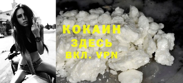 шишки Армянск