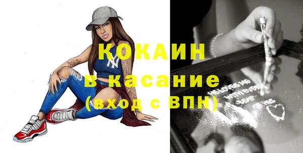 шишки Армянск