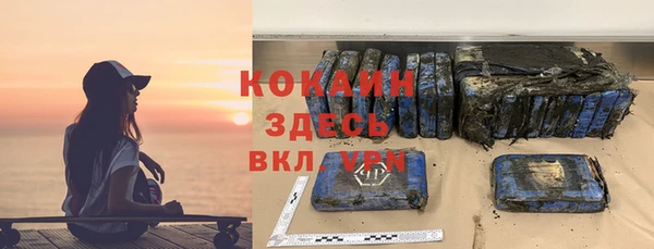 стафф Арсеньев