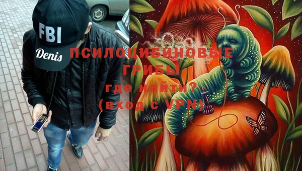 шишки Армянск