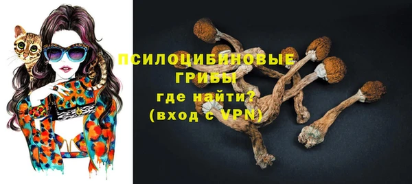 стафф Арсеньев