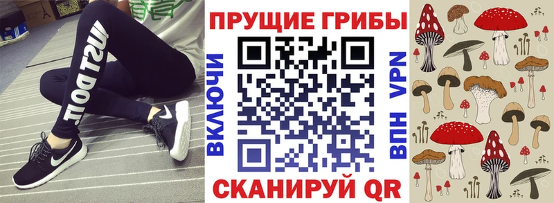 Галлюциногенные грибы ЛСД  Сясьстрой 