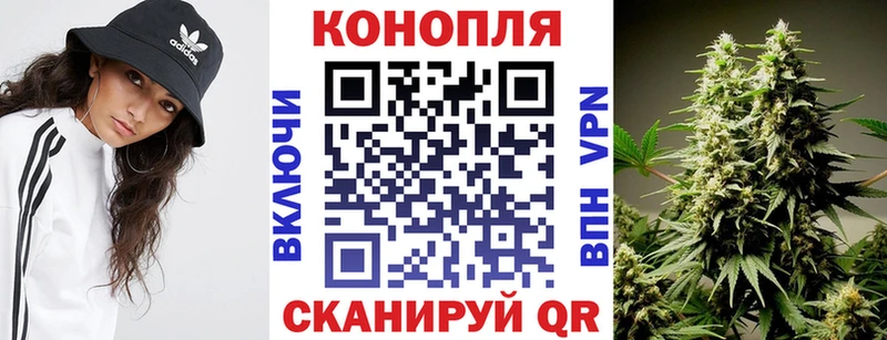 Канабис VHQ  Сясьстрой 